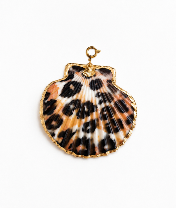 Leopard Shell