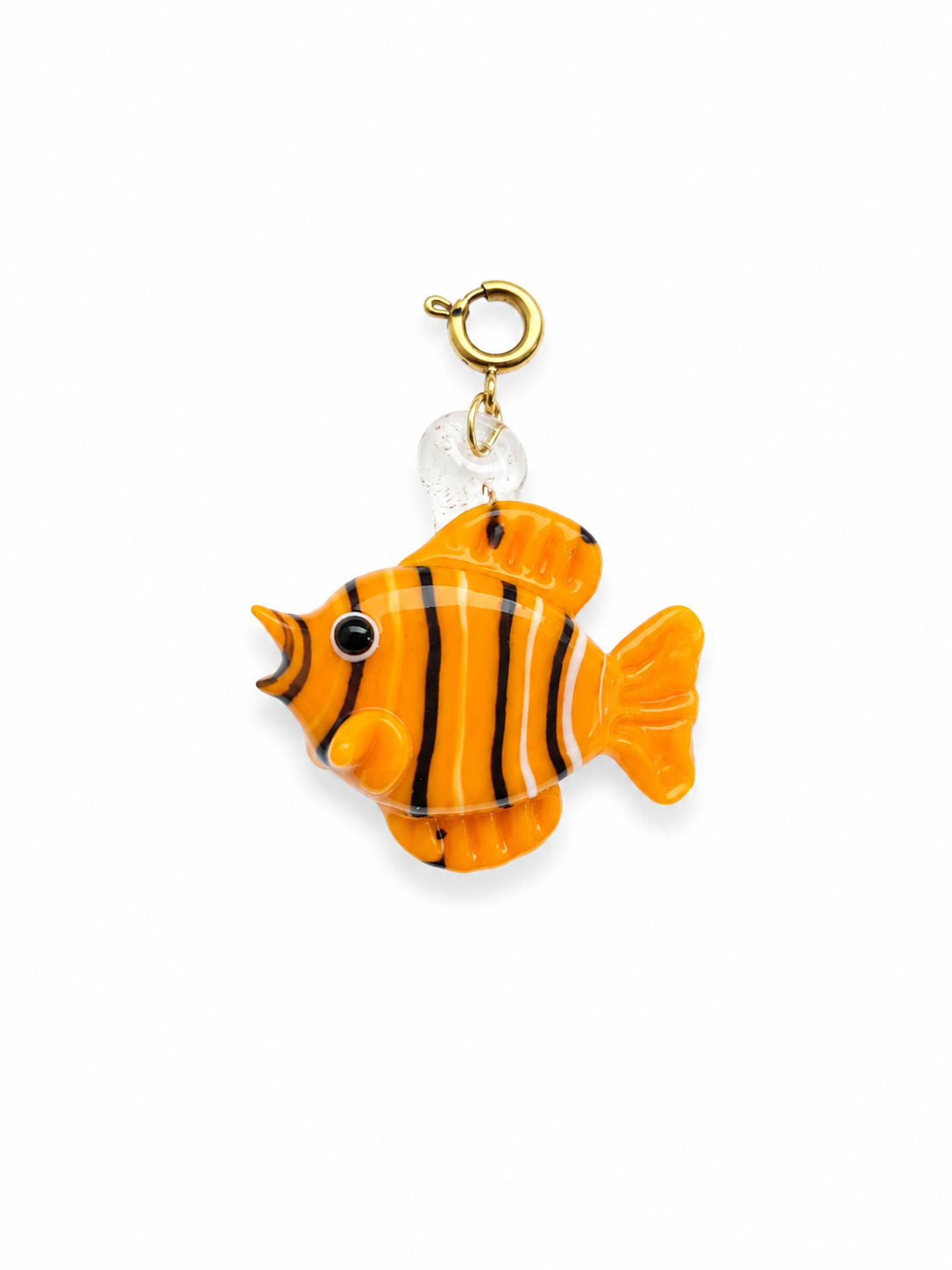Tropical Clownfish