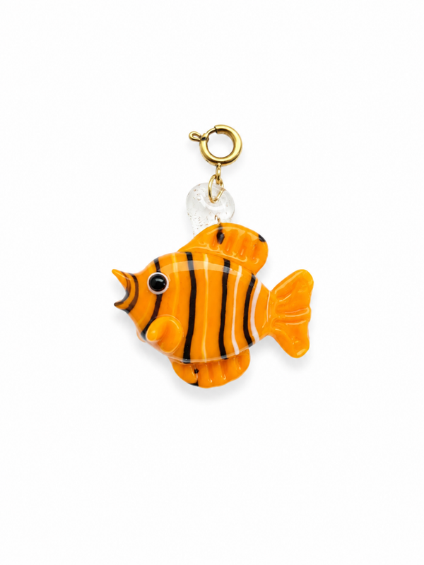 Tropical Clownfish