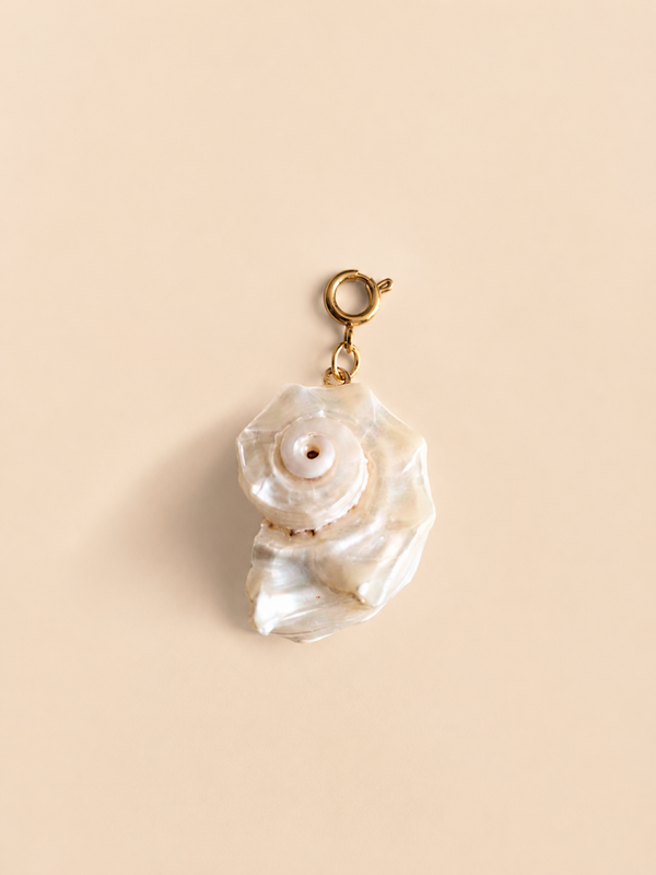 White Shell
