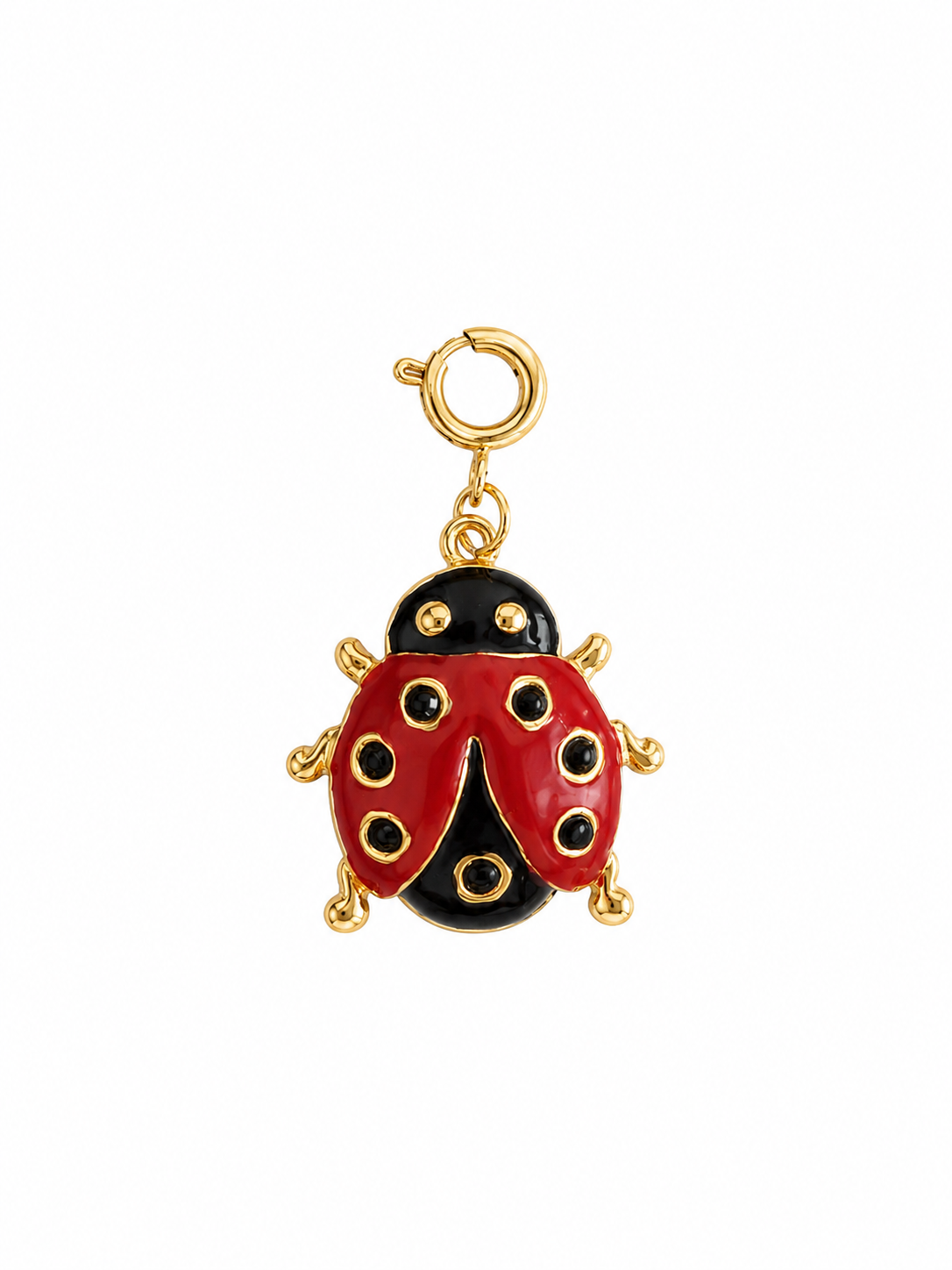 Big Ladybug