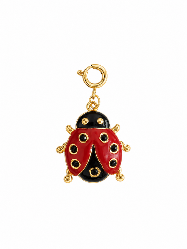 Big Ladybug