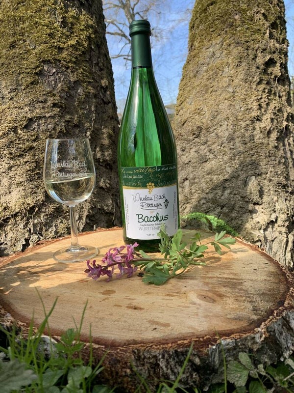 2023  Bacchus Kabinett 1 l