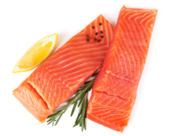 COHO SALMON