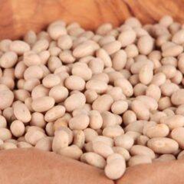 Navy Beans
