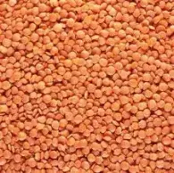 Red Lentils