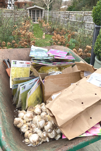 wheelbarrow full of bulbs