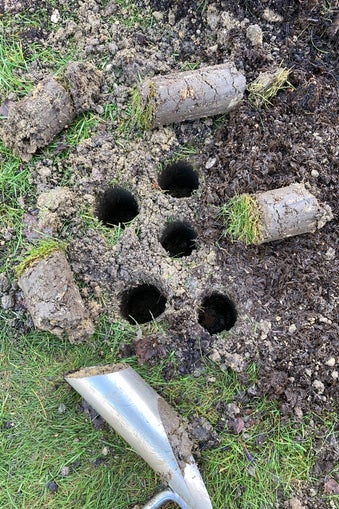 Bulp planter with cores on the lawn