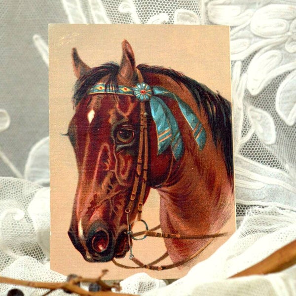 Vintage prentje van een bruin paard