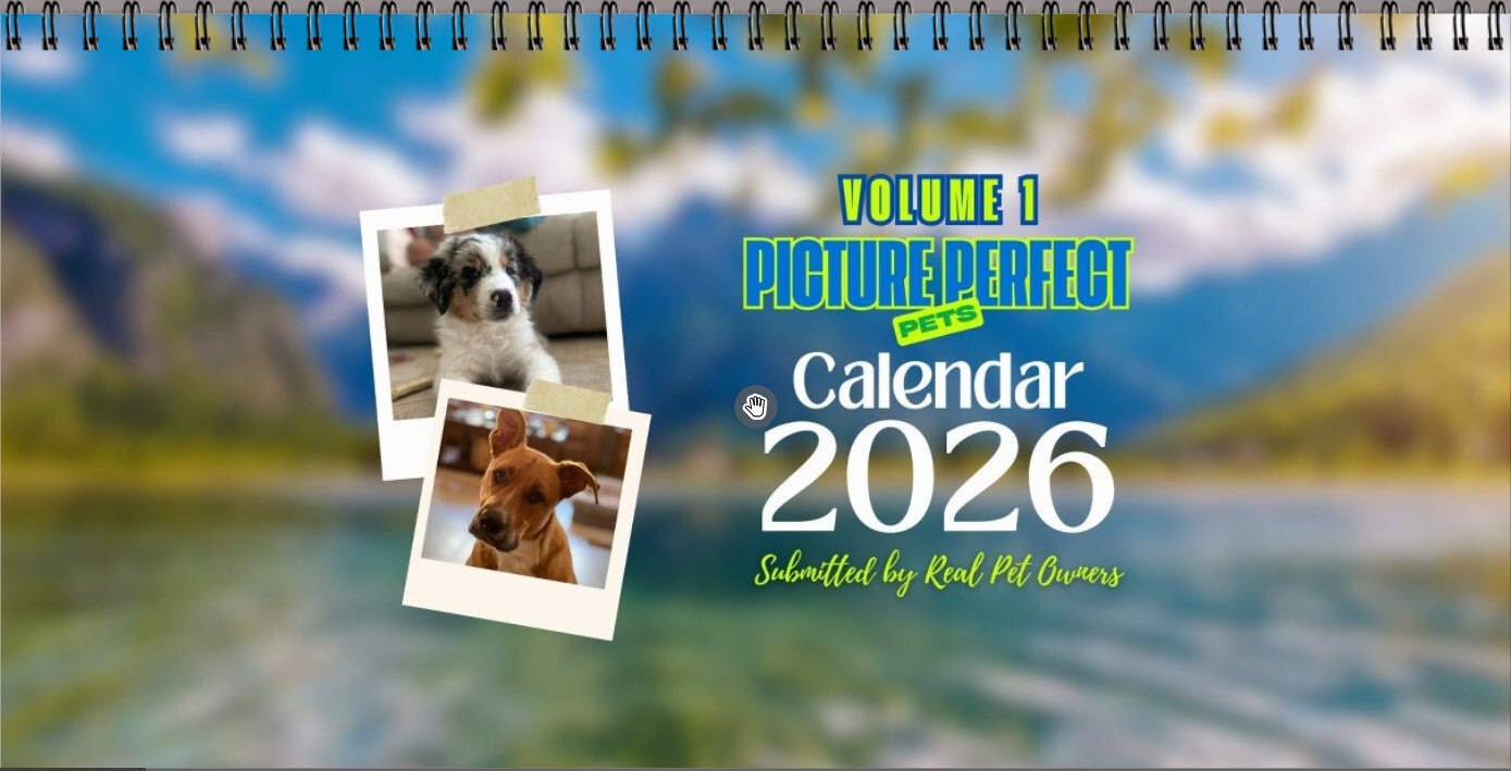 4 x 8 Desktop Calendar (12 page photos)