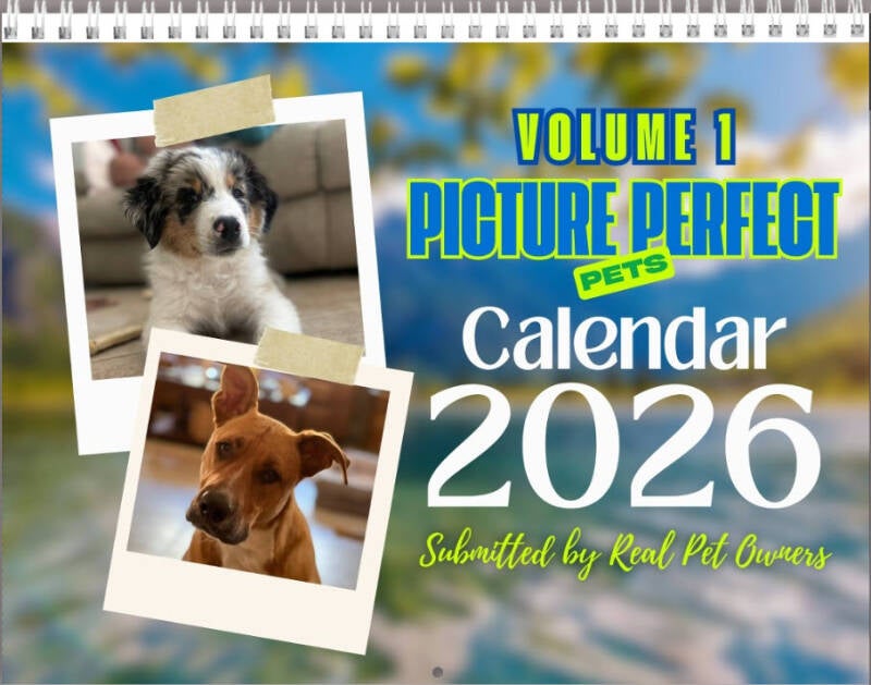 8 x 11 Wall Calendar (12 Page Photos)