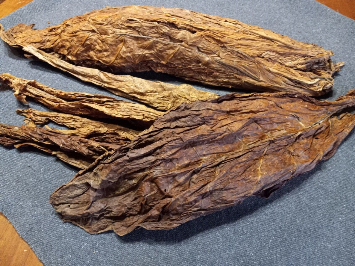 1lb Kentucky's Golden Burley Stacked, Casked, Aged 5yrs.