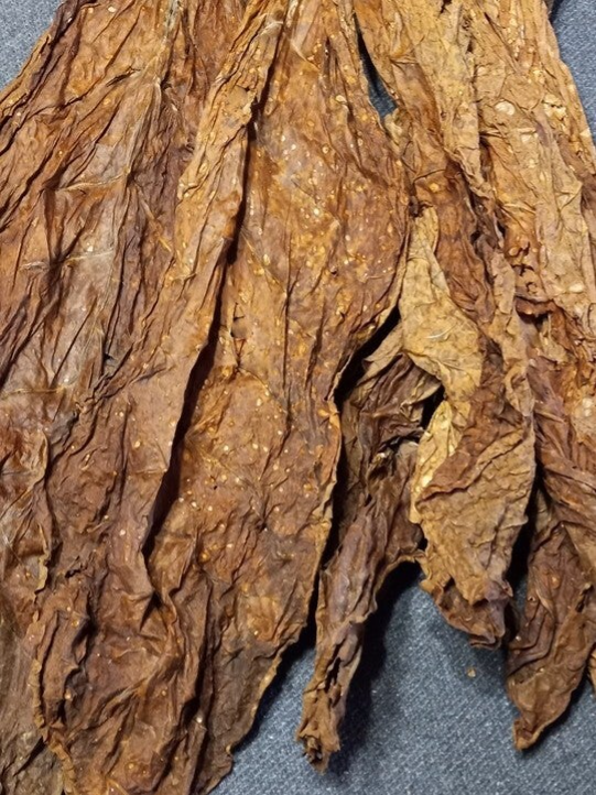 1lb Kentucky's Golden Burley folded loose-leaf $25.99