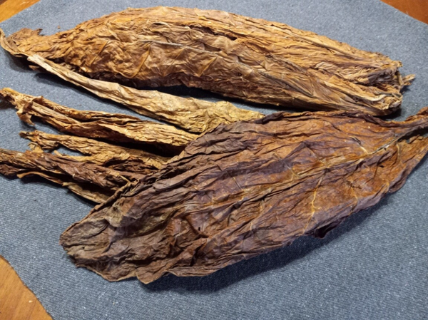 1lb Kentucky's Golden Burley Stacked, Casked, Aged 5yrs.