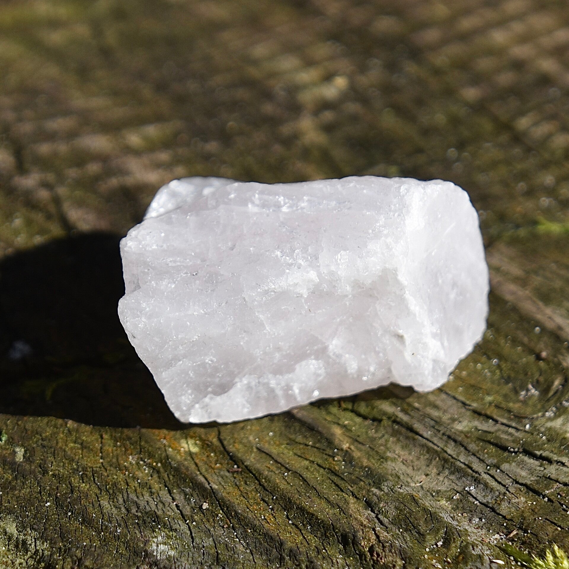 Ruwe Rozenkwart 4-5 cm