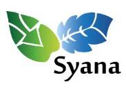 logo avec deux feuilles d'arbre, verte et bleue avec le nom de l'entreprise SYANA