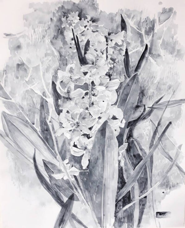 Hyacinten