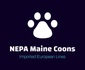 NEPAmainecoons