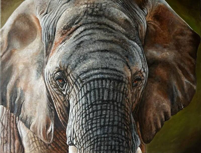 elefant-standard.jpg