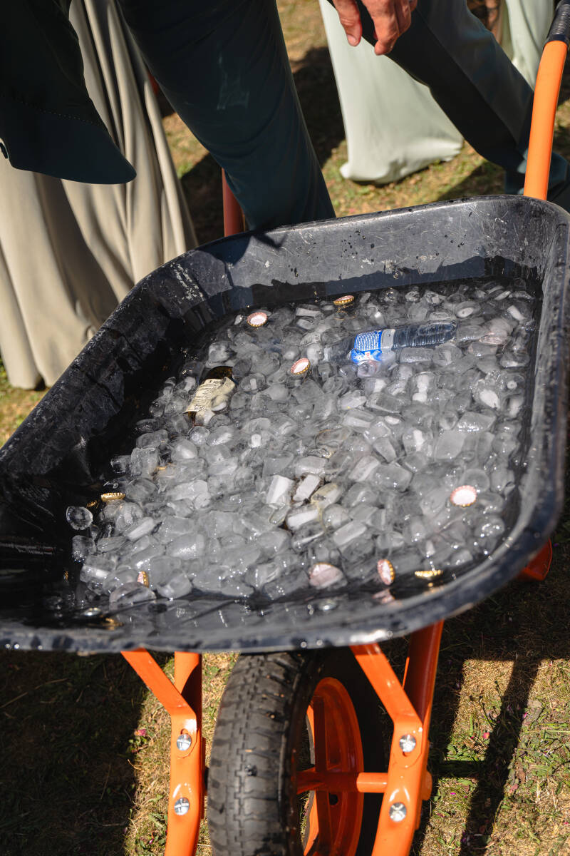 photo-262-standard-eej5k1.jpg