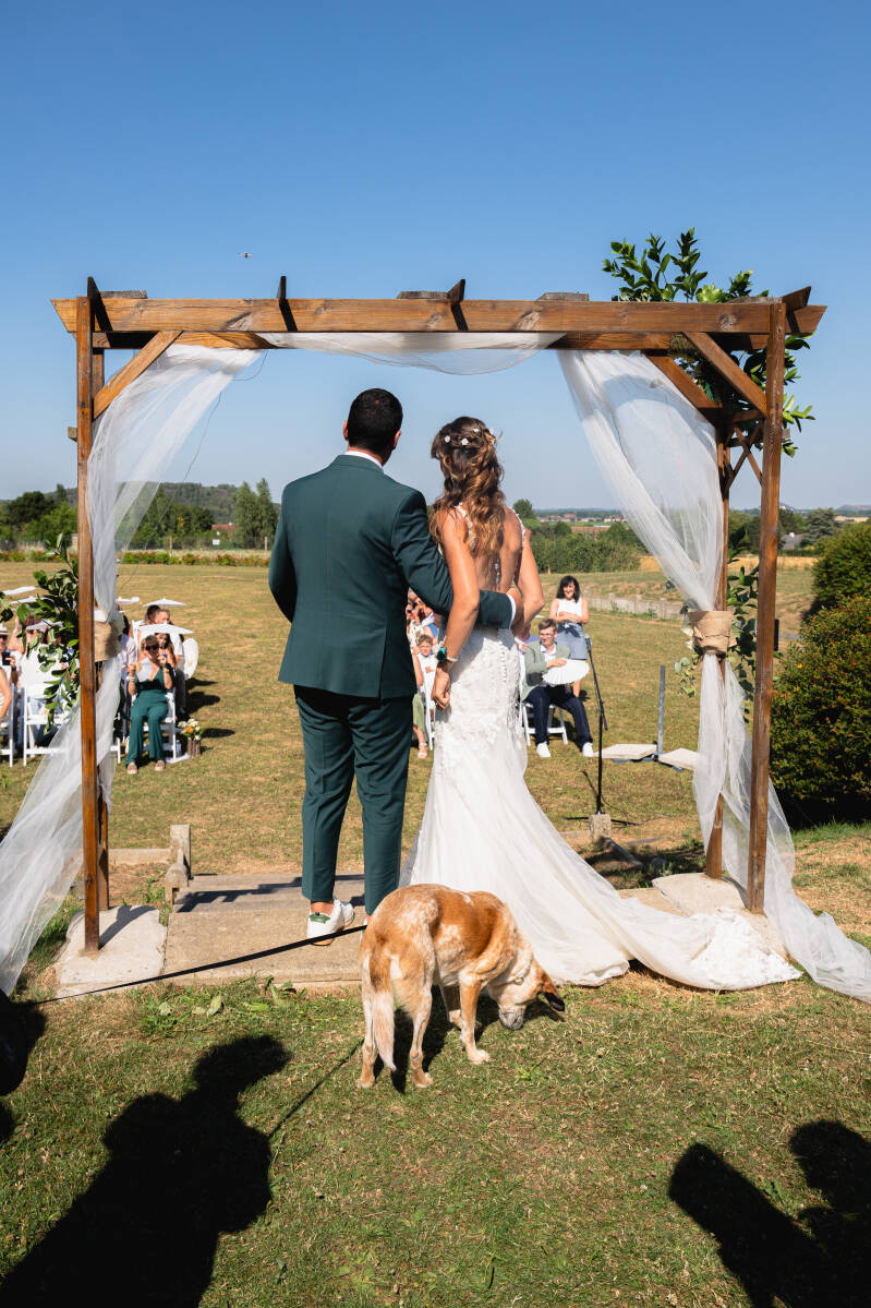 photo-353-standard-2dmm28.jpg