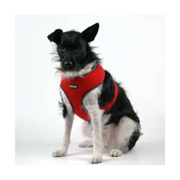 Pet-Star Softgeschirr / Netzgeschirr - Rot XL