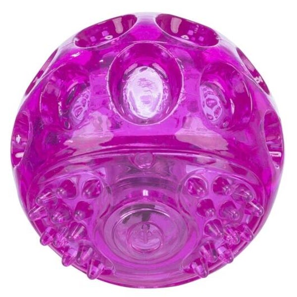 Trixie Blink-Ball aus TPR 6 cm