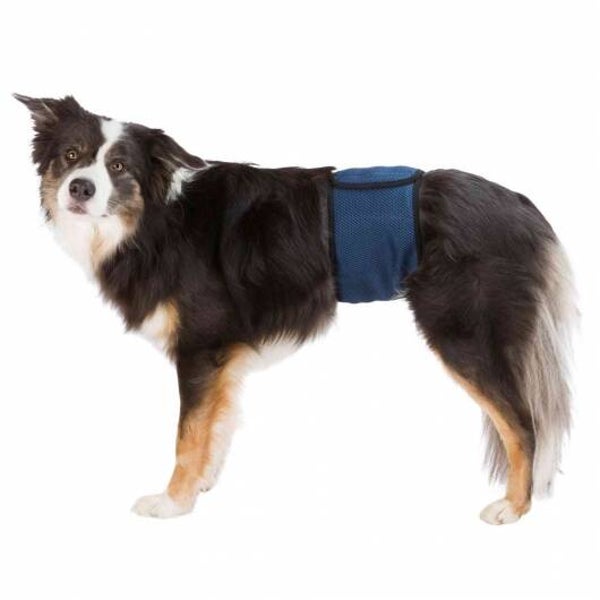 Trixie Windeln für Rüden, waschbar S / 29-37 cm