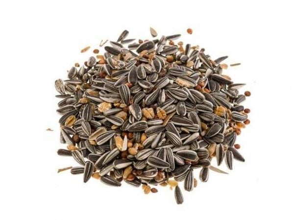 Classic Bird Winterstreufutter 2,5 kg