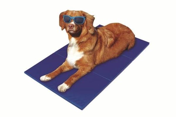Pet-Star Kühlmatte 65 x 50 cm