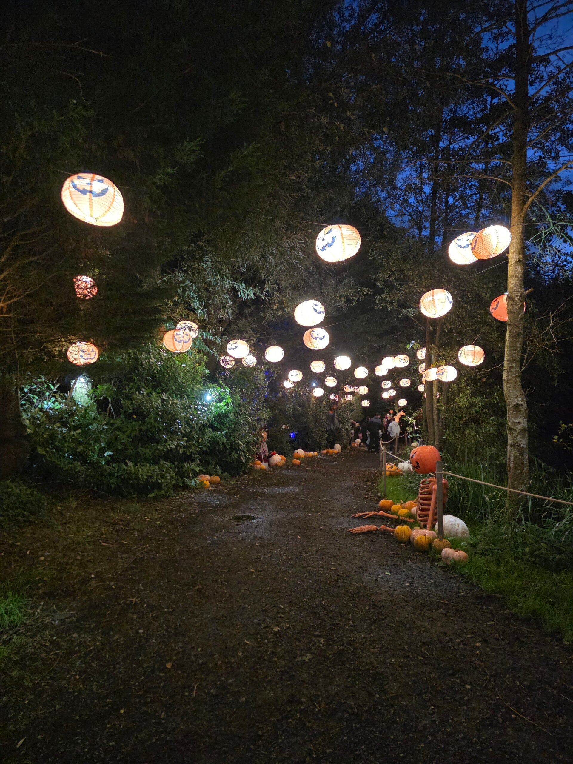 Halloweenville, Partridge Lakes, Halloween Light Trail,
