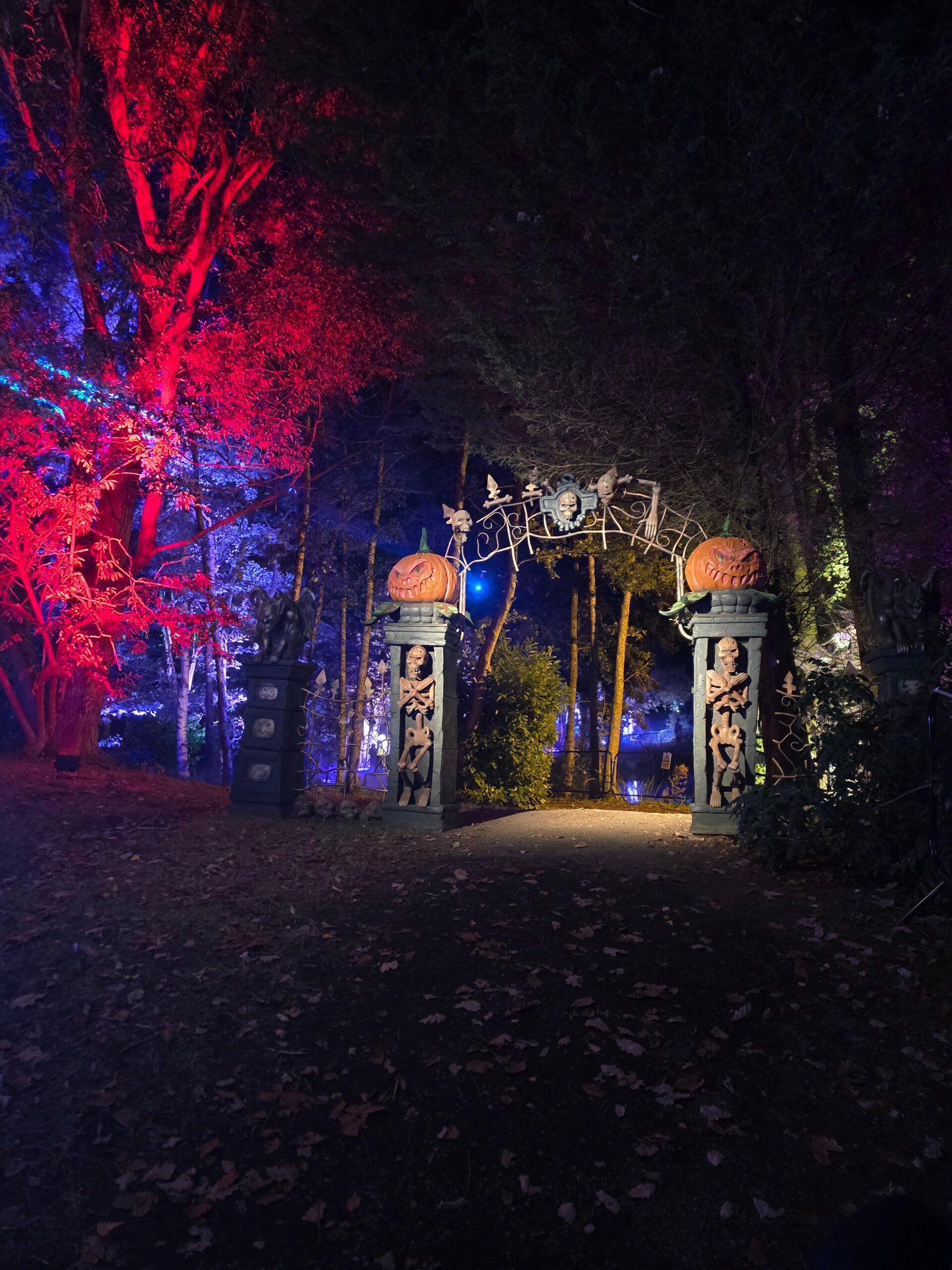 Halloweenville, Partridge Lakes, Halloween Light Trail,