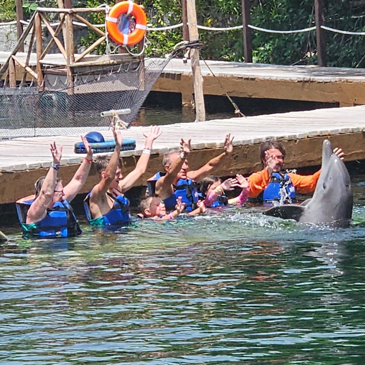 Swimming with Dolphins at Xel Ha, Mexico