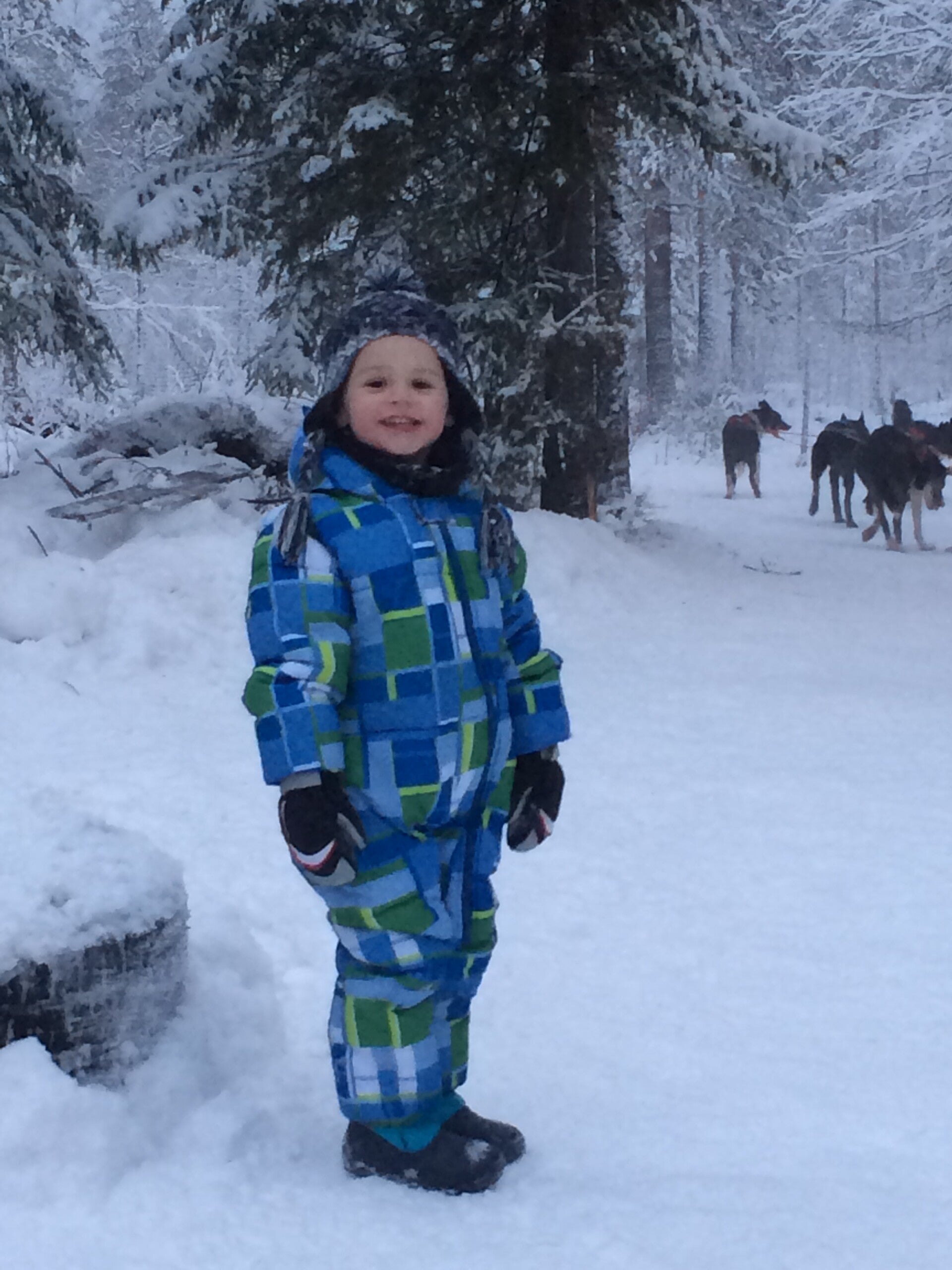 CHild in the snow with Huskies, Rovaniemi, Finland 
