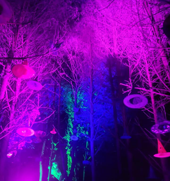 The Cookes at Halloween Lakeside Light Trail, Partridge Lakes, Culcheth, Warriington, Cheshire