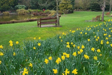 Spring Flowers at Walton Hall and Gardens, Warrington, Cheshire