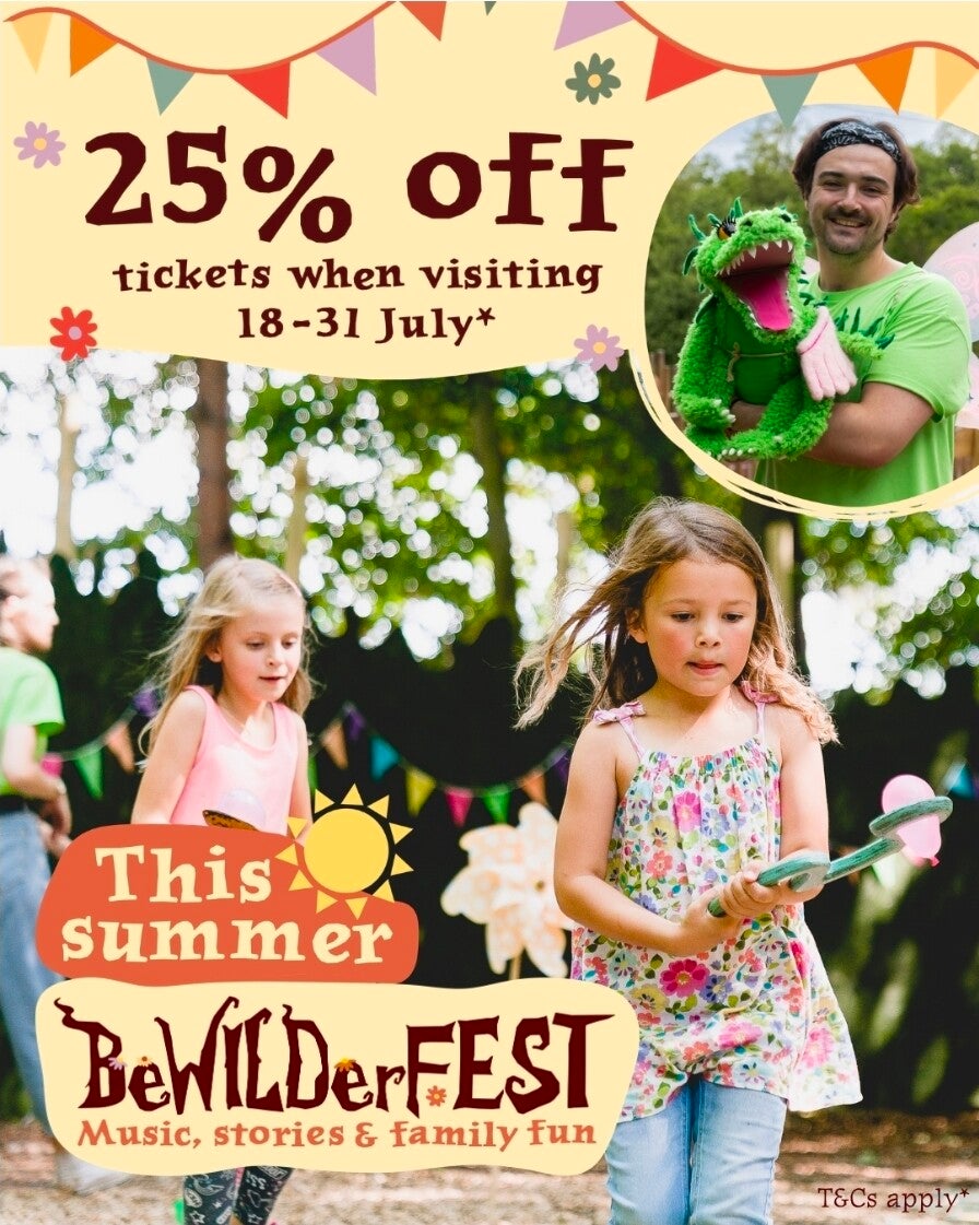 25% off at BeWILDerwood Cheshire