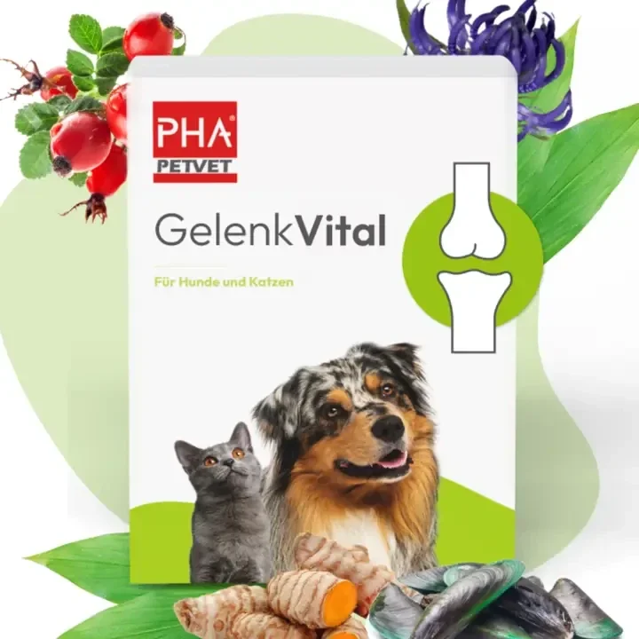 PHA PETVET GELENKVITAL