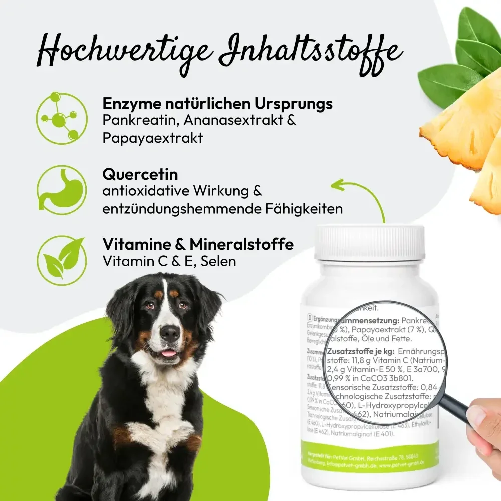 PHA PETVET DOGENZYME GELENK