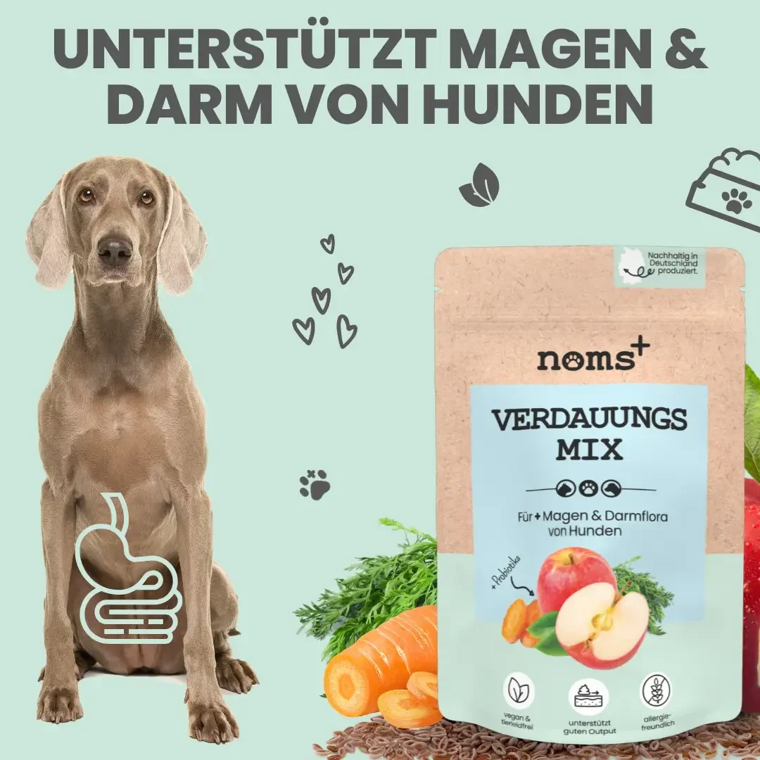 NOMS+ VERDAUUNGS MIX