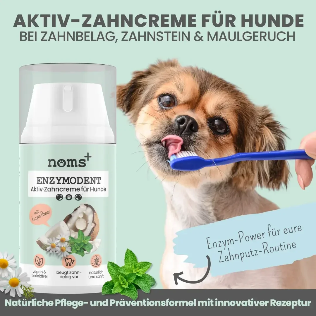 NOMS+ ENZYMODENT