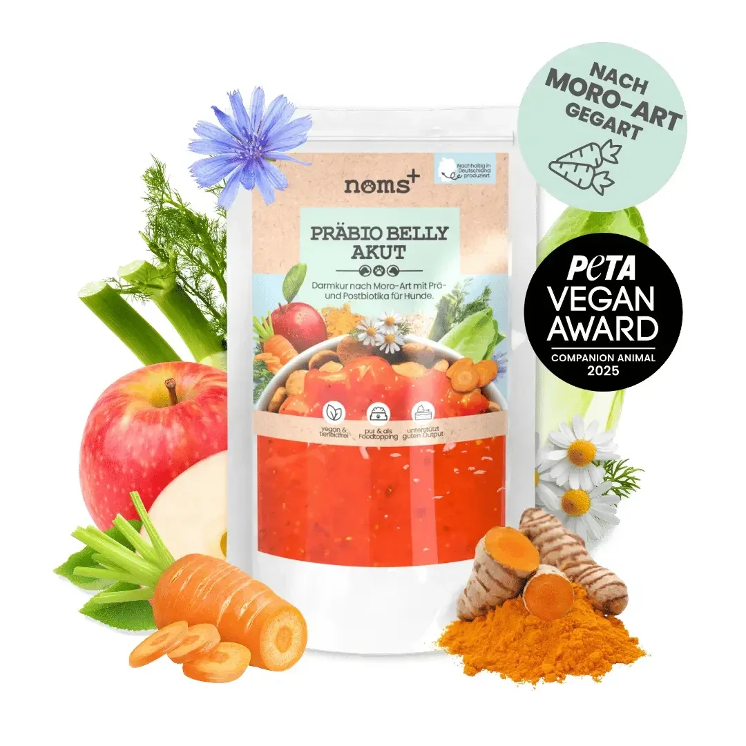 NOMS+ PRÄBIO BELLY AKUT