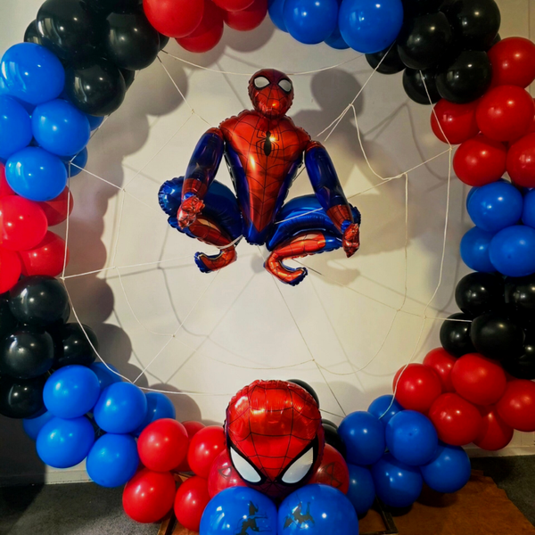 Spiderman in his Web
