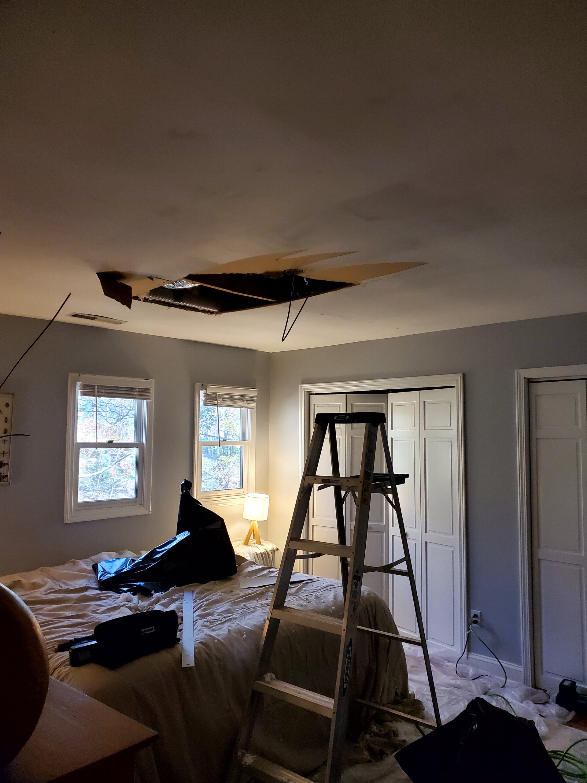 ceiling-standard-sm2q0f.jpg