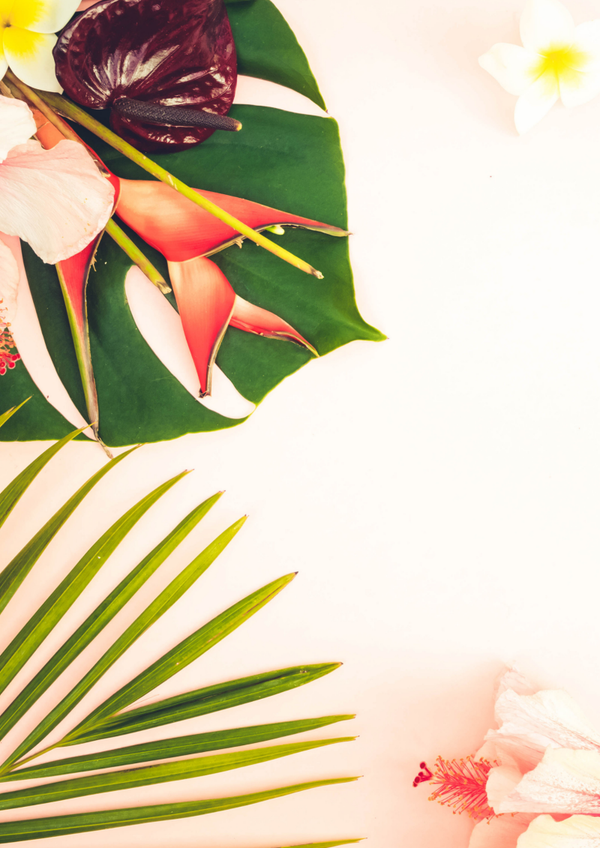 Fond d'écran tropical