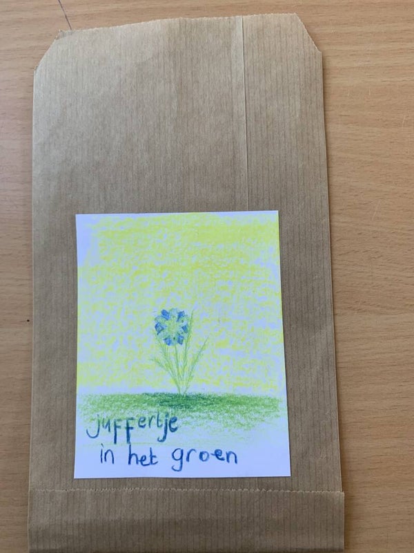 Juffertje in het groen