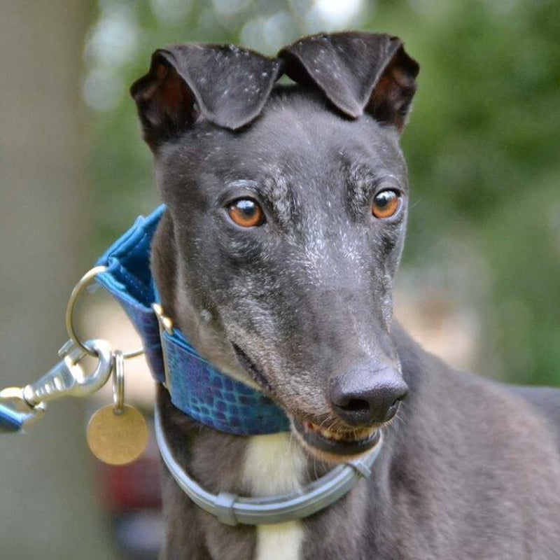 2018Pepper.jpg