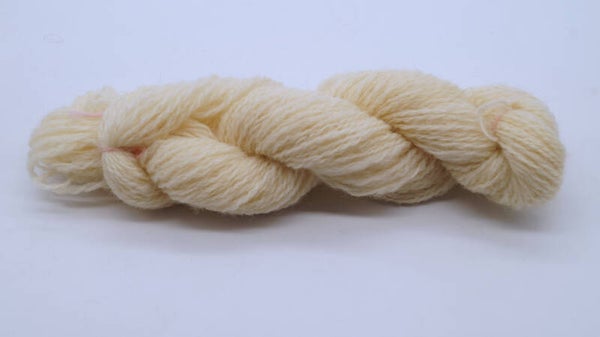 Mouton eider ou mouton allemand couleur écru