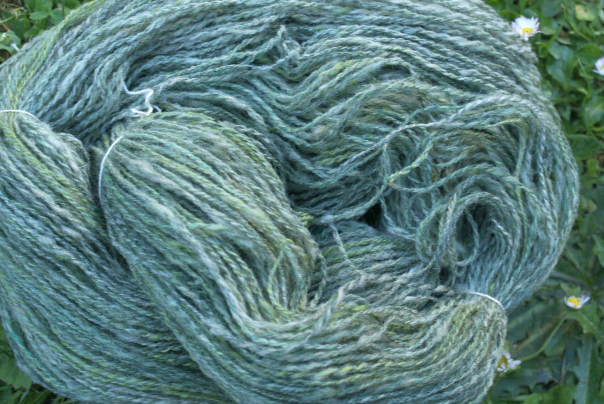 ile-de-france-teinture-v-g-tale-standard.jpg