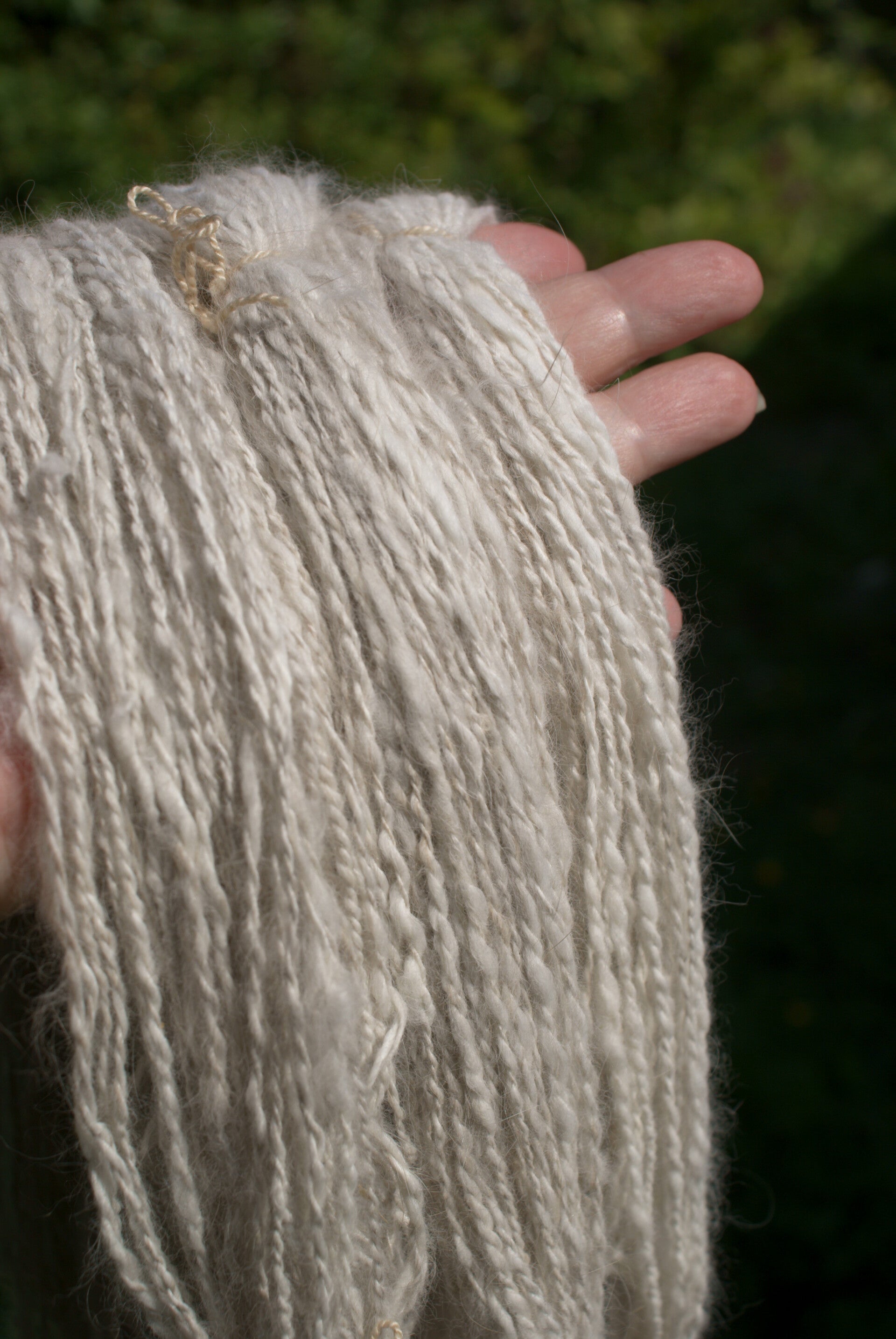 lapin-angora-standard.jpg